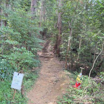 登山口　急な階段が続きます