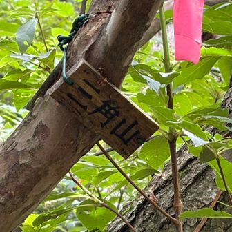 ついでグレピ、やっと見つけた三角山の標識