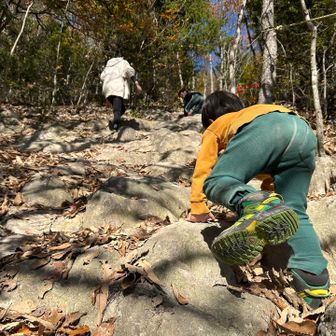 岩コースだけどモリモリ頑張る