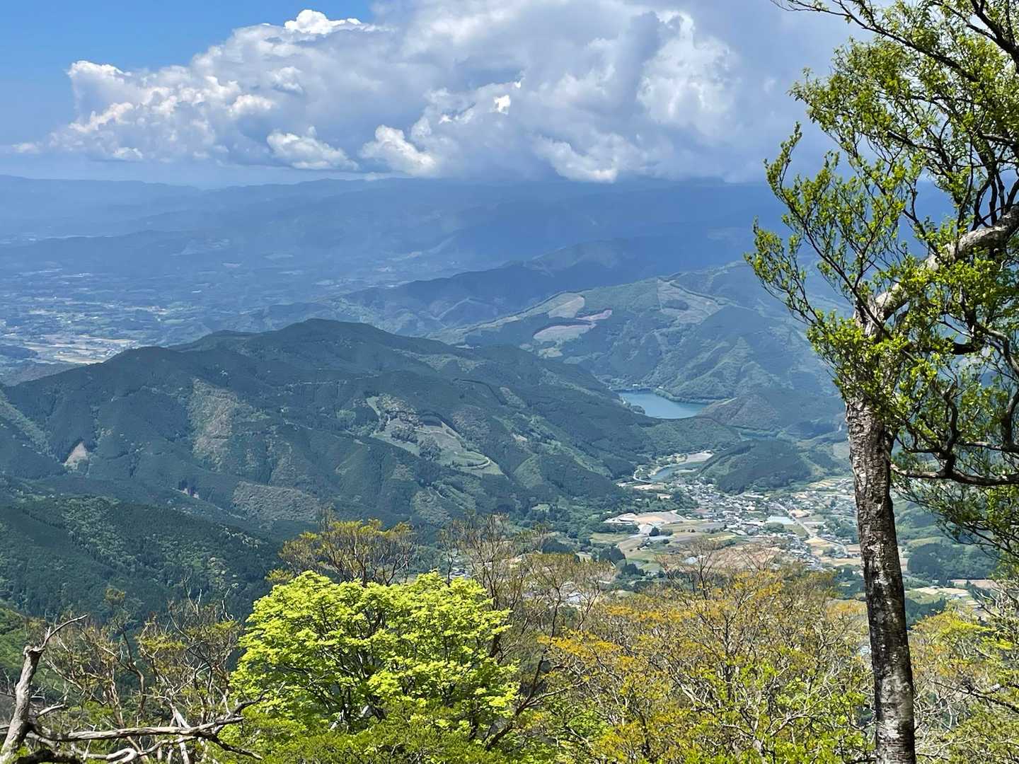 市房神社参道-市房杉-夫婦杉-市房山 往復コースの写真