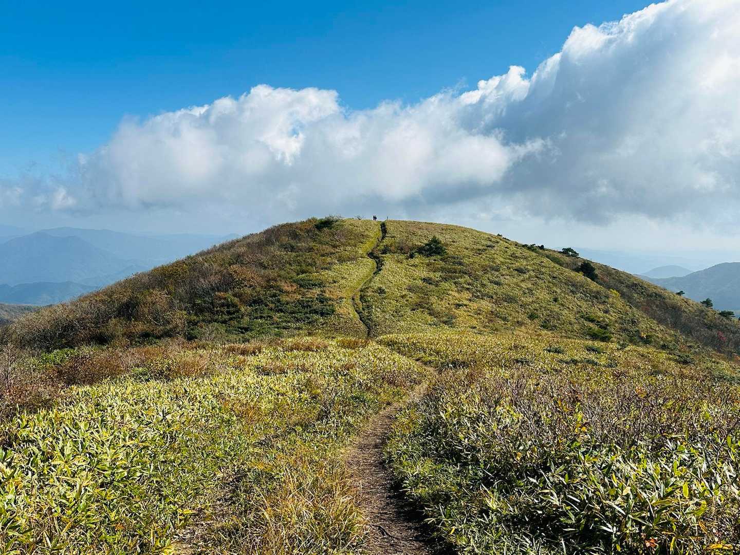 今から向かう道後山への登山道🚶