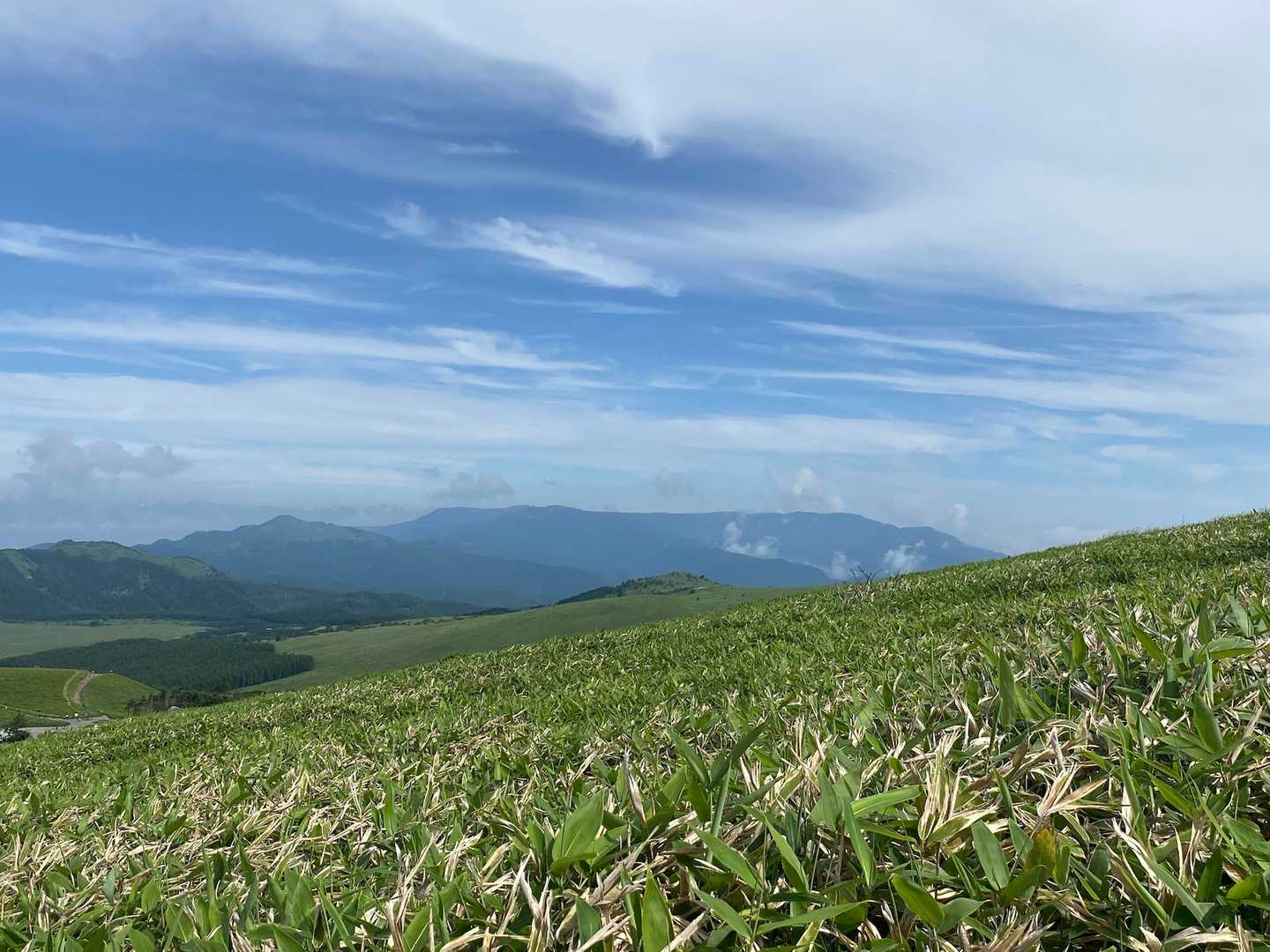霧ヶ峰・車山周遊 | 全方位の山岳パノラマの展望峰から、花咲く湿原へ続く高原山歩の写真