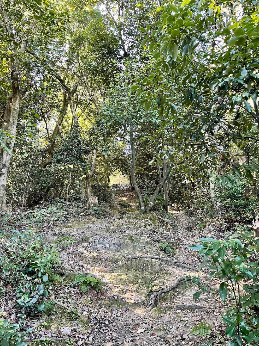 橿原神宮・畝傍山 周回コースの写真