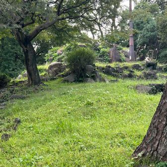 三笠山