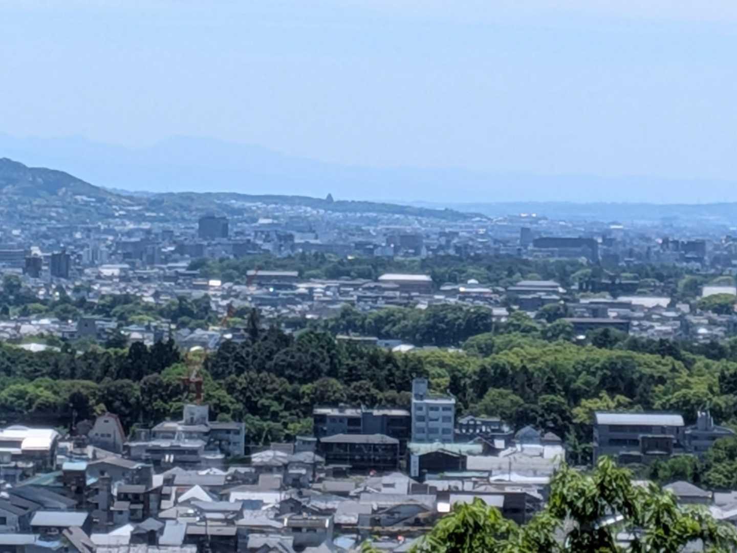 中央のこんもりした物は伏見桃山城🏯