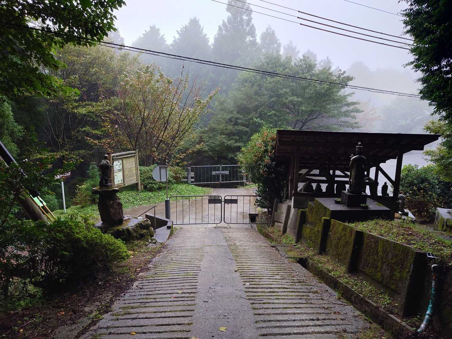 無事に出発地点の駐車場に戻ってきました🙌
この手前でも鹿が横切りましたが、私の住む糸島市（福岡の西側）には鹿が居ないので、凄く貴重な体験ができました。また来年、タカネハンショウヅルが咲いている内に再訪しようと思います。