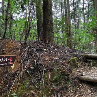 ちょっと気になって…
250㍍先…降ったらあるそうだけど、登り返してこんといけんのが…🤨…