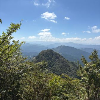 倶留尊山の手前からの二本ボソ
