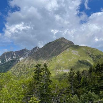 高嶺の登り、全然大変じゃないよ