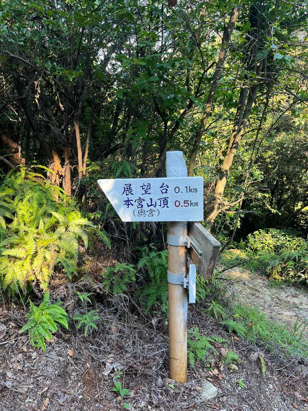 ここにたどり着くまでに　👿たまちゃんが　頭の中を　ぐーるぐる😅

引き返して　いいよ　って　何度も何度も　言ってくるのよねー😅