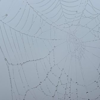 この天気でも人は少なくなかった。つつじヶ丘で見かけがちな私服でフラッと来た若者とかも多数。
