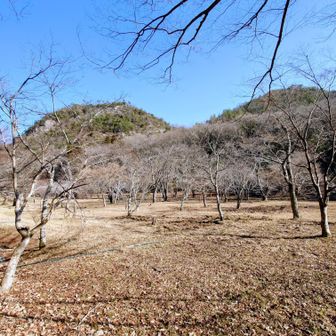 岩舟緑地
志段見山への取り付きは、岩舟緑地を通り抜け