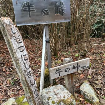 頂上はベンチもありました