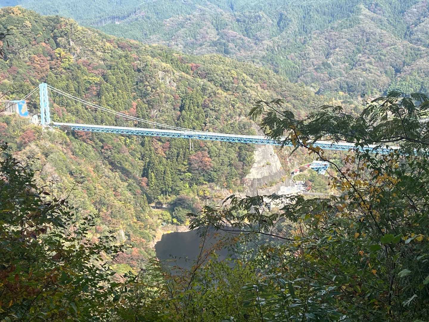 龍神大吊橋　バンジーするたび「キャー❗️」って聞こえる。女子が多いのかな