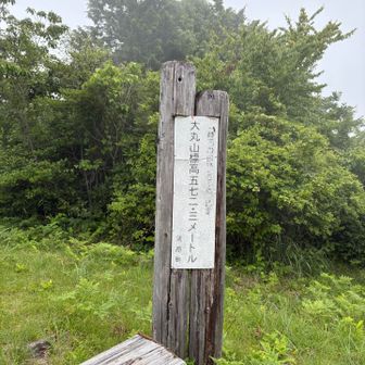 大丸山登頂