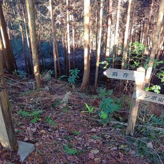 道迷いと藪漕ぎでなんとか十字峠。この先も難しかった