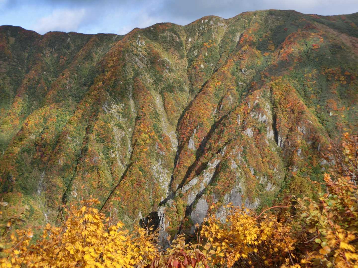 アゴク峰の紅葉スラブ