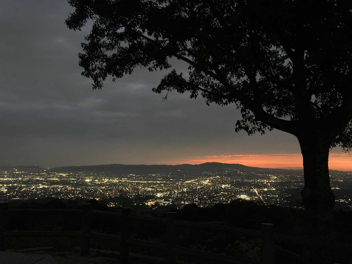 山頂近くの展望台からはこの景色🌇
