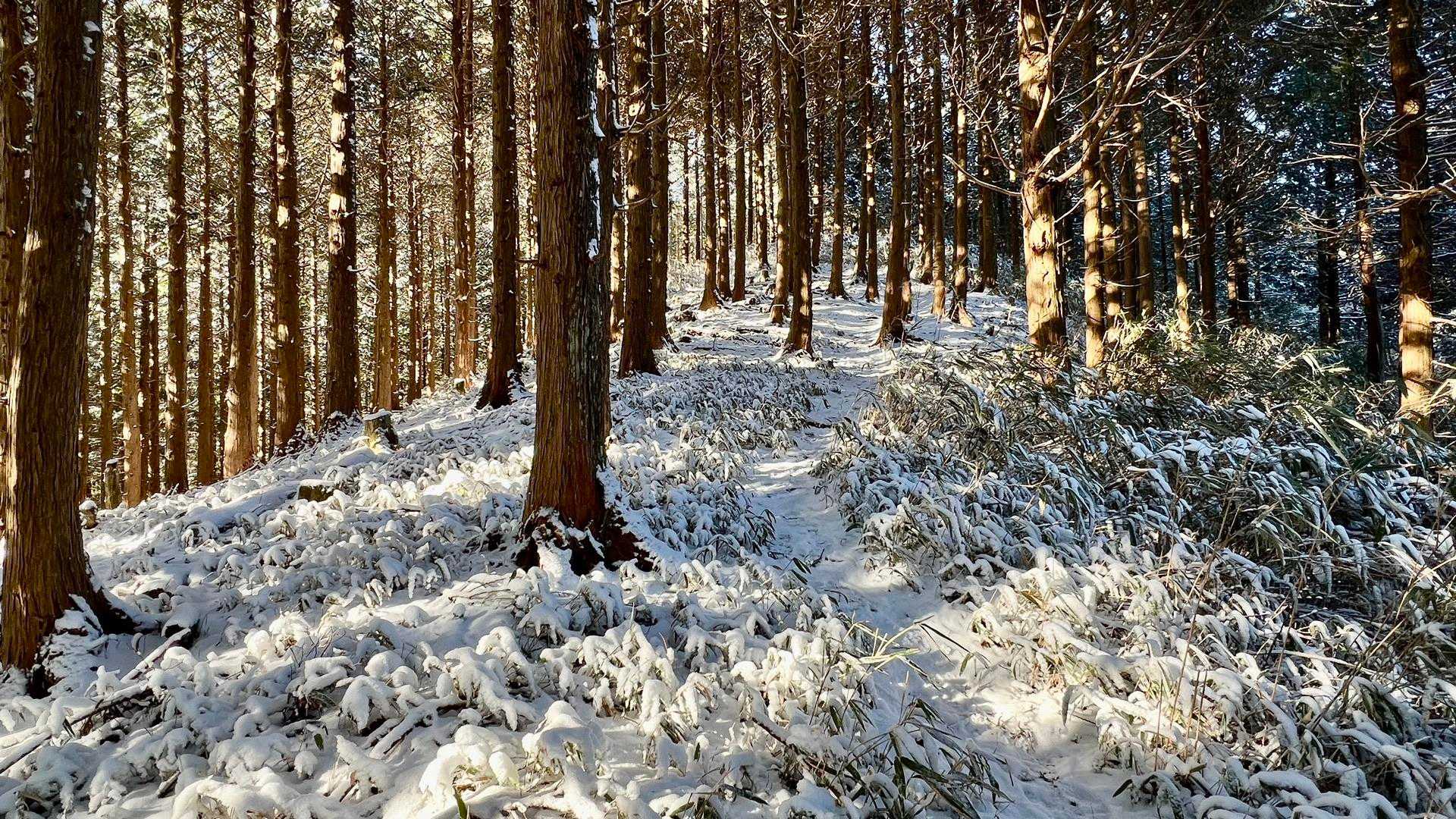石墨山 往復コースの写真