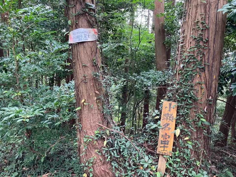 小瀬名富士の写真