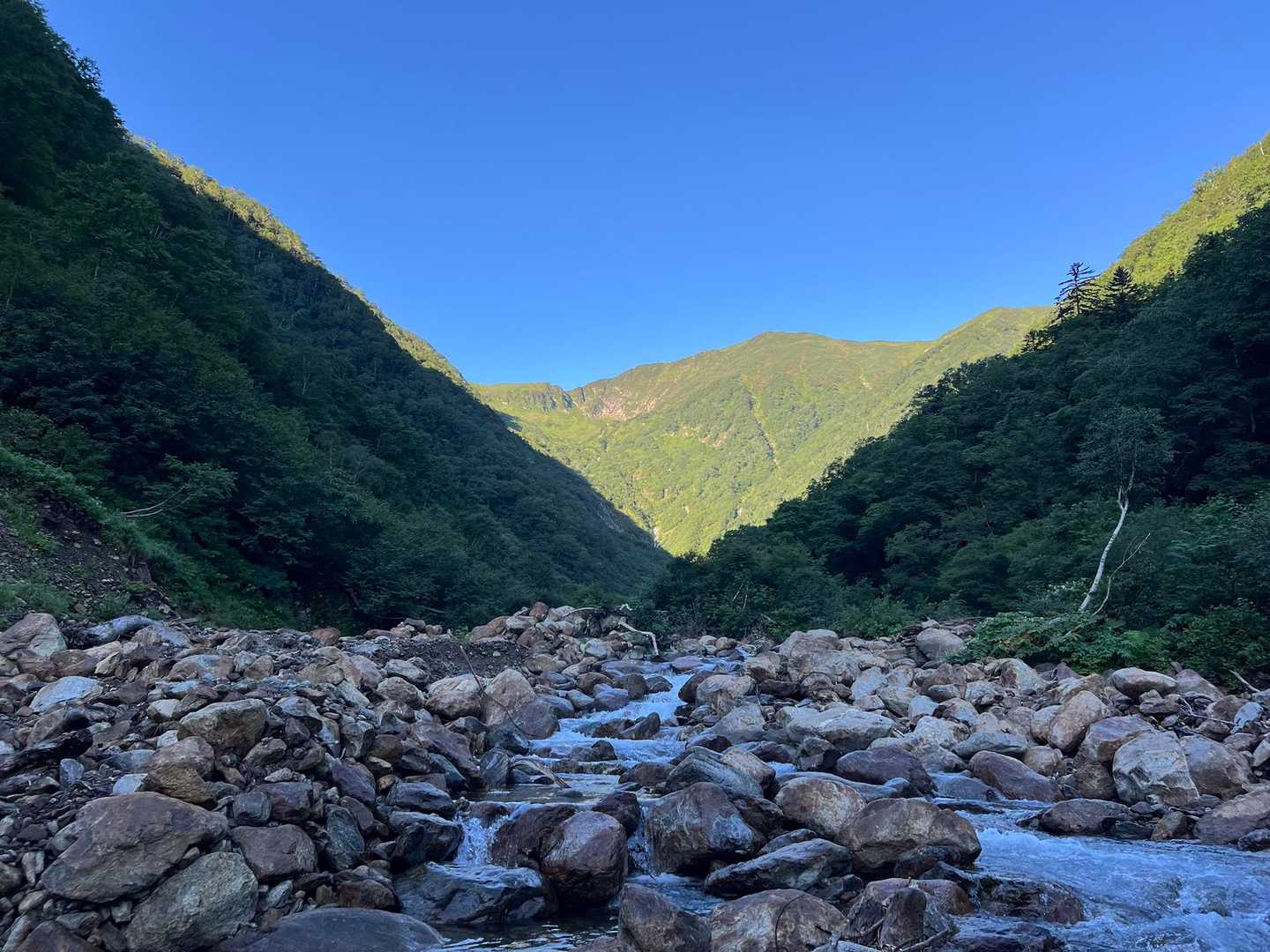 なかなか近づかない〽️が
八ノ沢カールが見えた🤩

ワクワクが止まりませんෆ˚*
