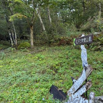 ドンドコ沢コースにイン