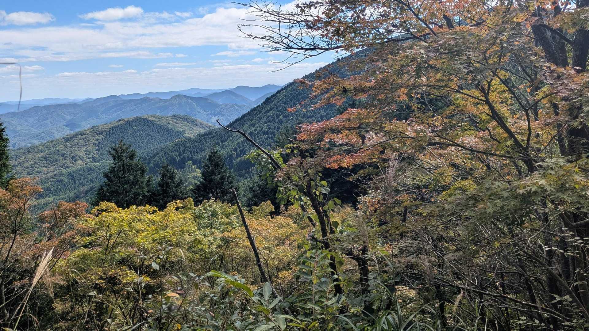 秋ですねー