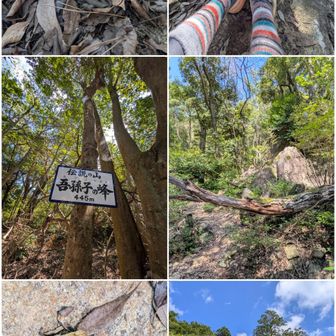 イグチ科のキノコ🍄。

吾孫子の峰。

この木の枝が顔、目の位置にきて危ない。

ごみ発見🚯。
これ偶然落としてないんですよぉ。
ポケットに入れるふりして捨ててる人が大半。
ガム、キャンディ🍬、クッキー、パウチ等の個別包装を取り出して食べたり、飲んだりする人の所作を見てると上手いことポケットに入れるふりして捨ててるよぉ。
便所で手を洗うふりしてうんこ💩や小便のついた手で髪型をなおして、待ってる異性と手をつないで去っていくのとほぼ似たようなもの。洗ったふり。

この包装の絵がうんこ💩に似てて大笑い😂。この人、手を洗わないよぉ。汚いねぇ。この性格は一生物。

中山寺奥之院。