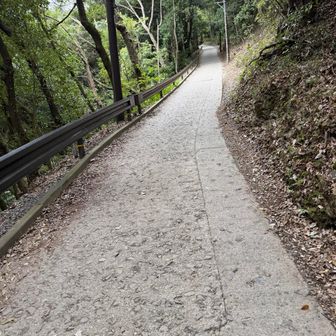 ここの急坂を登りたかった💦👍