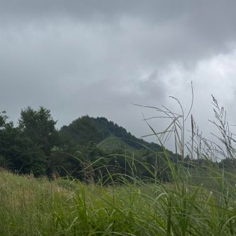 山頂が見えた