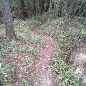 歩いて来た道です😊　旧十九道で登りたい方は、近くの十九道ダム付近に車を停めて下さい👍（十九道ダムには、仮設トイレがあります）