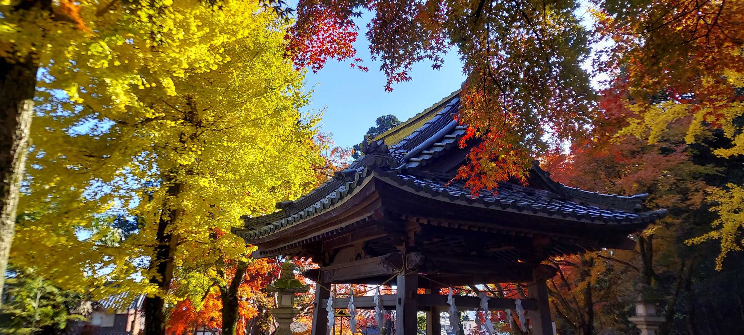 朝日山神社登山口-常楽寺-山本山 往復コースの写真