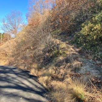 西側登山口まで回って来ました！久し振りにここから登り返します！

車道🚗が歩き難かったので、定番ルートには出来んな…😓