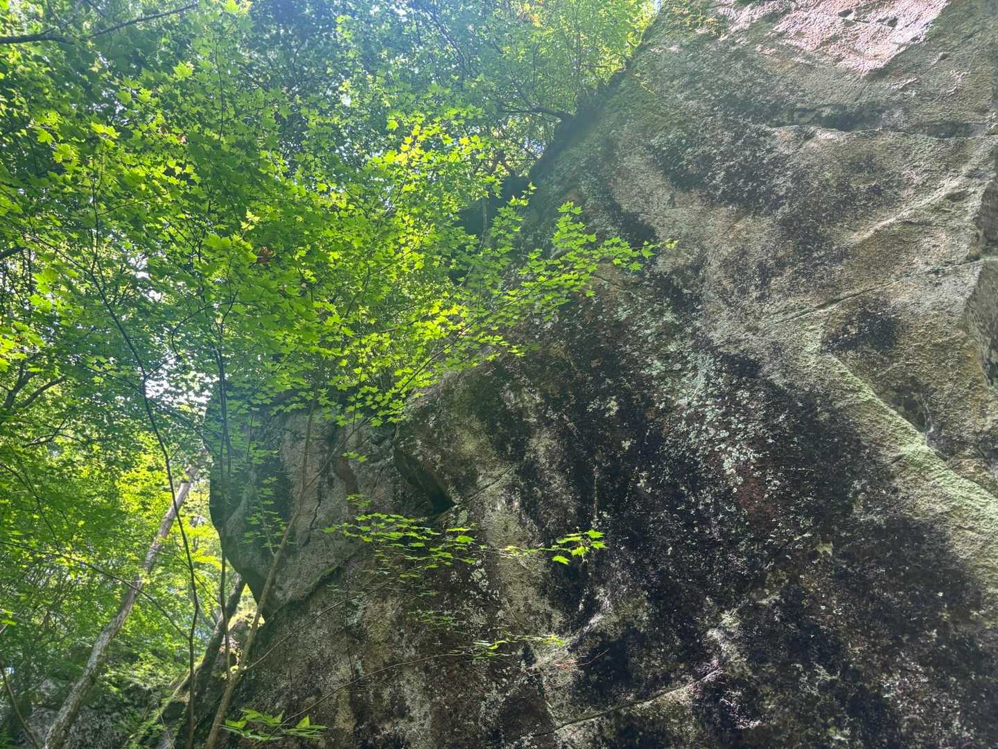笠置山 周回コースの写真