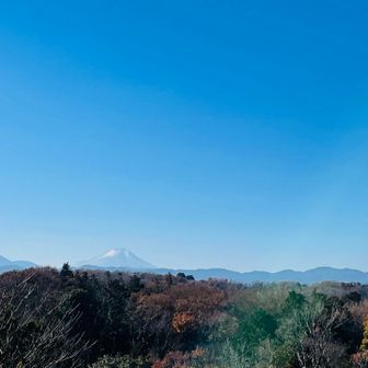 狭山富士から富士山