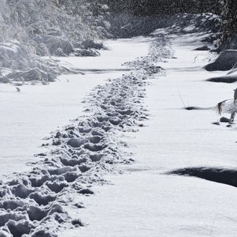 林道は20～30cmくらいの雪
一歩一歩が刻み込まれる