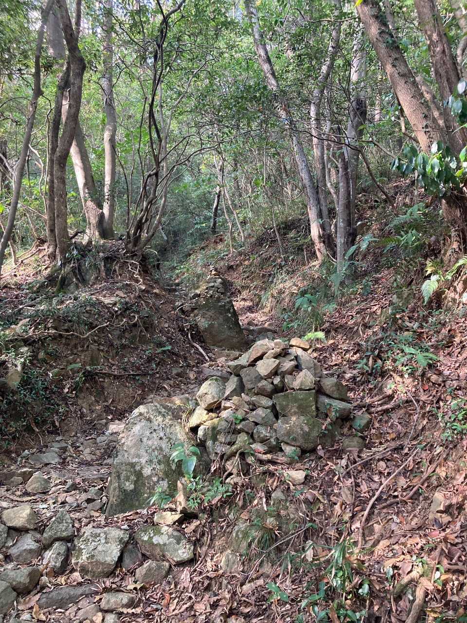 日岡山 往復コースの写真