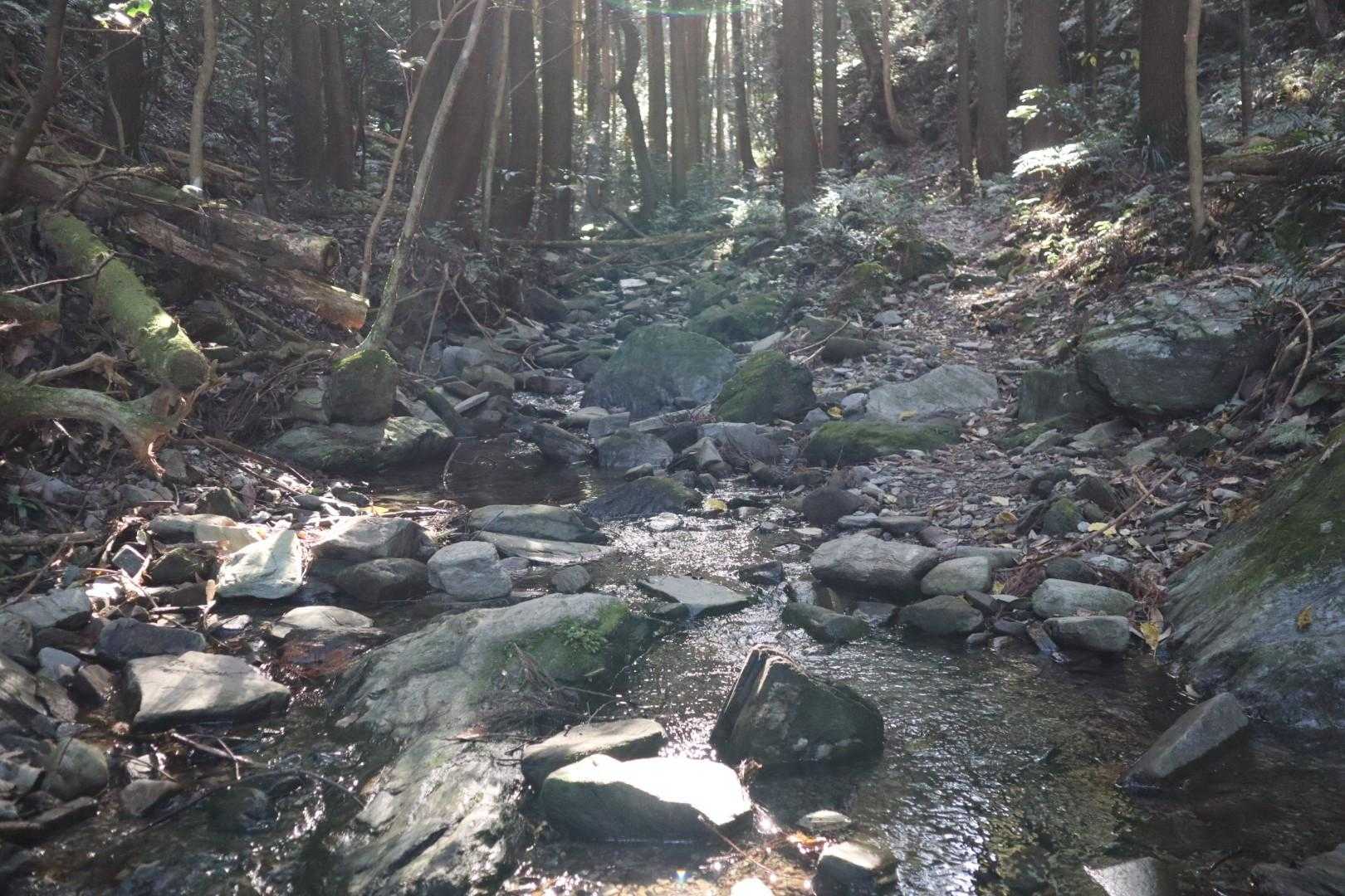 沢を渡ります。