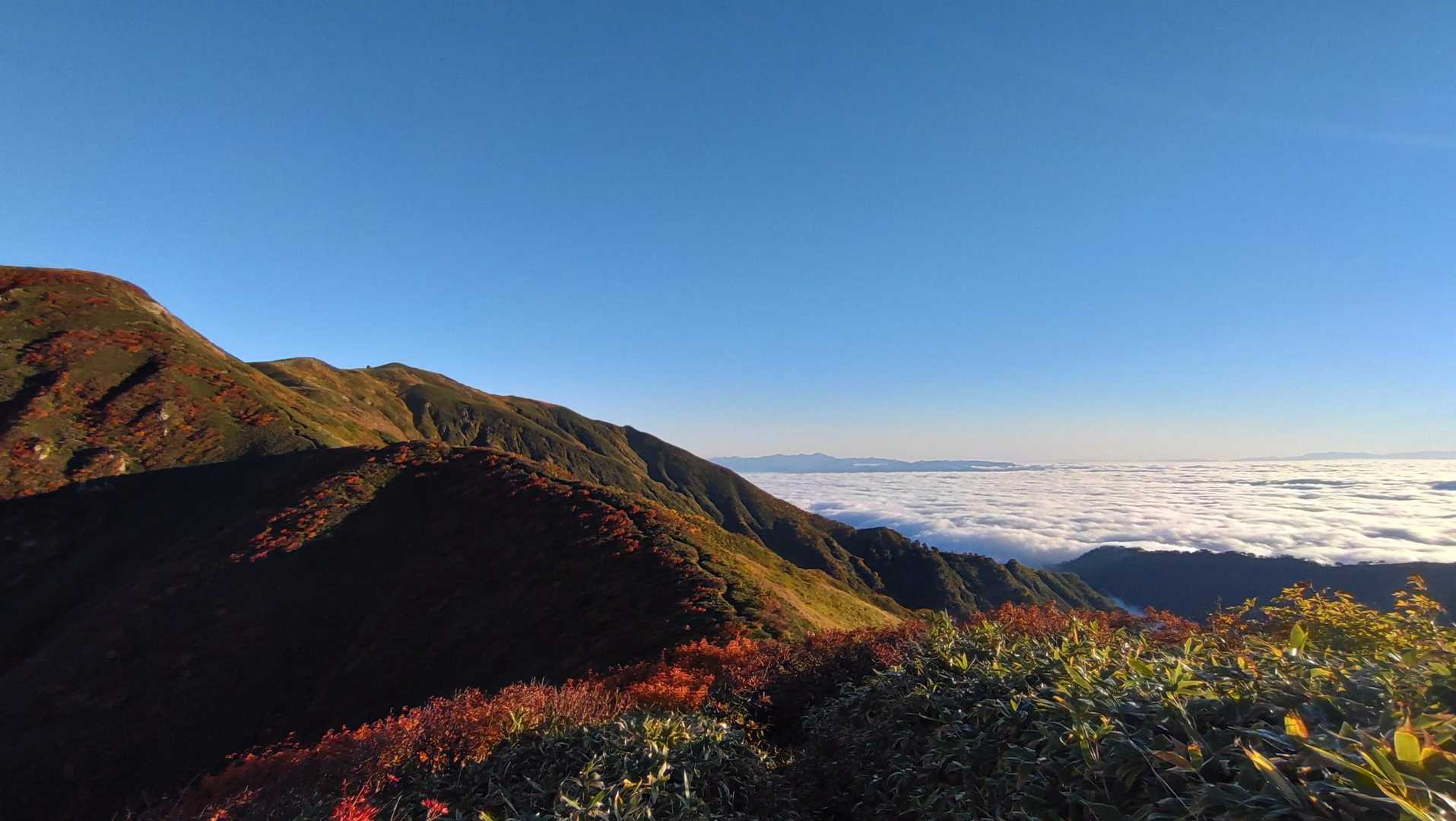キレイ過ぎて写真を撮ってばかり
