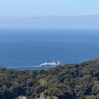 乗ってきたサルビア号が東京に向かって折り返し出船して行きました