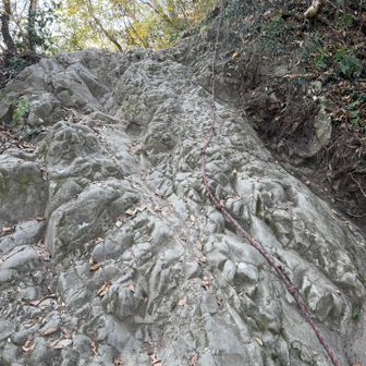 ロープ場も結構ありました