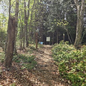 栂ノ尾山頂（1,241m）