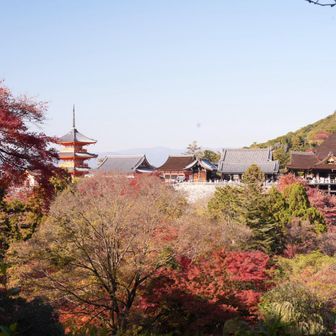 良きアングル📸