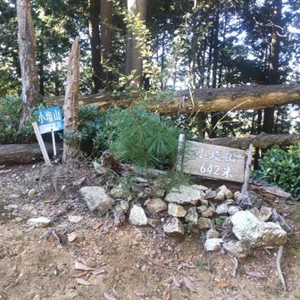 いちおう登頂。
