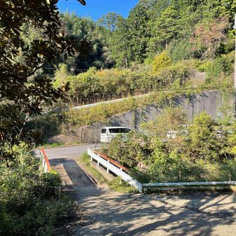天気がよく気持ちよかった。
今日も金剛山よ、ありがとう^ ^