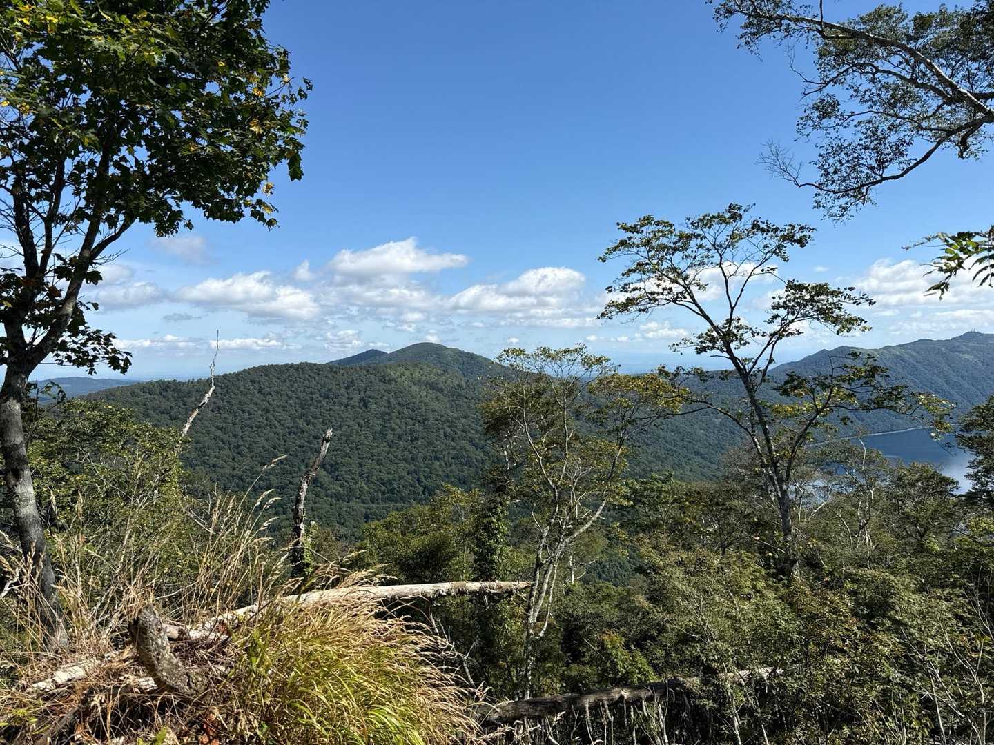 天気よし☀️