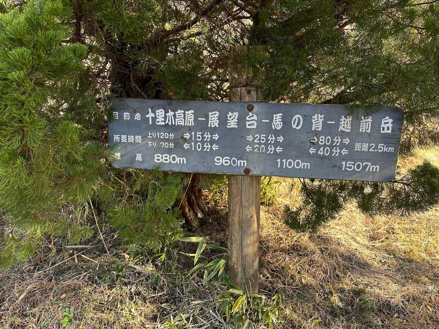 下山。
13:45発のバスに間に合あので一安心。
