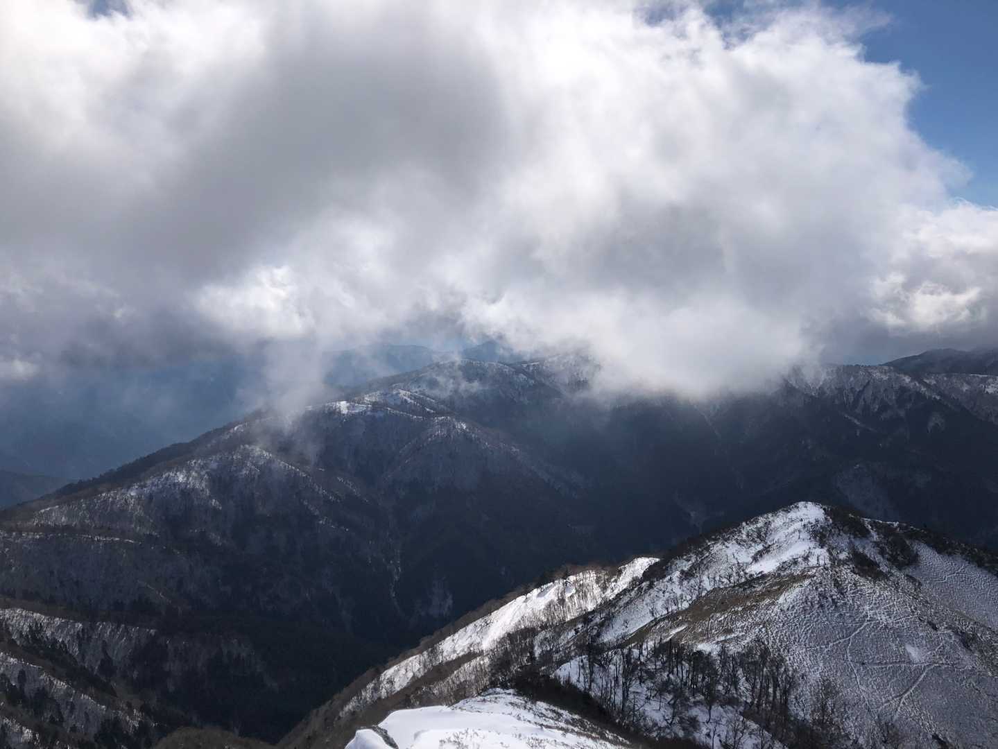 土佐矢筈は雲の中〜