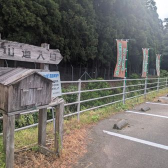 三十三間山・轆轤山 2026/05/23 / マー君の登山データ | YAMAP / ヤマップ