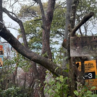 子鶏冠山
今日は気温高く、ここまで登りで汗だく💦